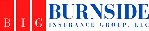 Burnside Insurance Group LLC