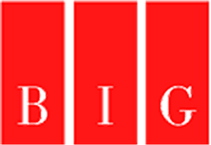 Burnside Insurance Group LLC - Logo Icon